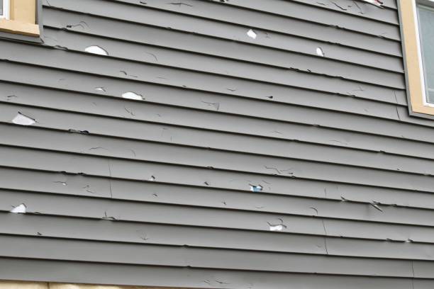 Best James Hardie Siding  in Okemos, MI