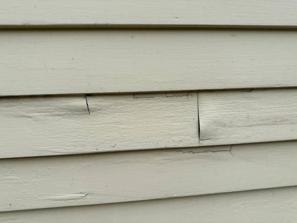 Best Insulated Siding Installation  in Okemos, MI